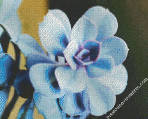 diamond painting