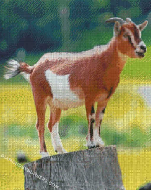 diamond painting