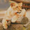 diamond painting