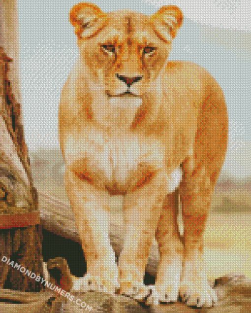 diamond painting