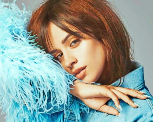 Camila Cabello Photo Shoot Paint By Numbers