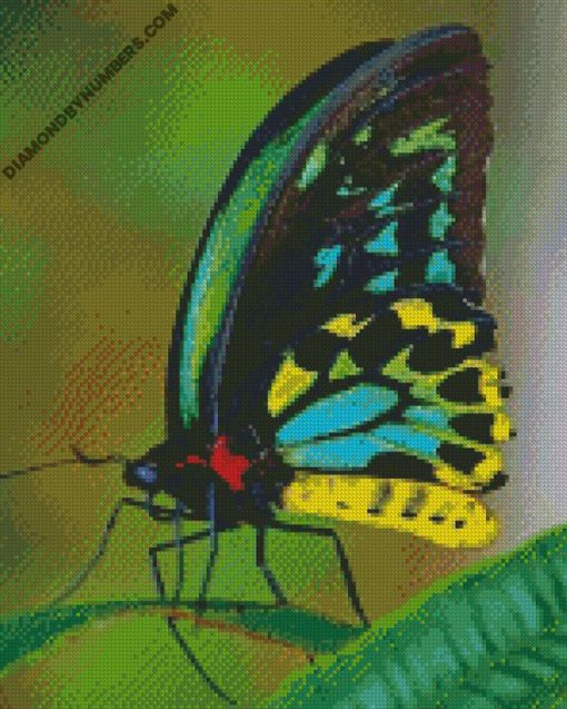 diamond paintings