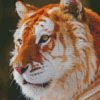 diamond painting