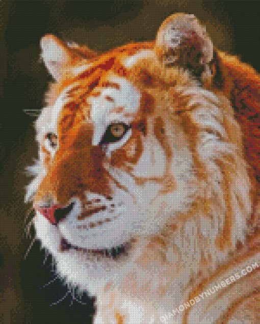 diamond painting