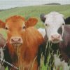 diamond painting