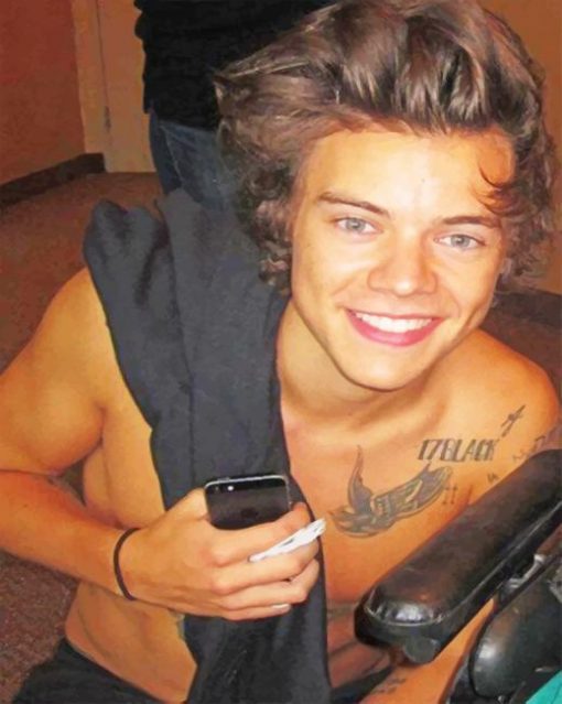 Cute Tattooed Harry Styles Paint By Numbers