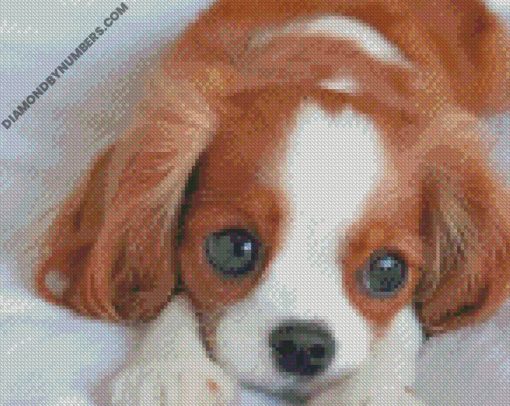 diamond paintings