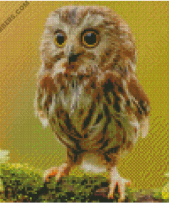 diamond paintings