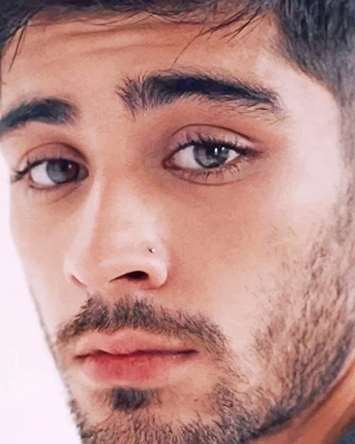 Cute Zayn Malik Paint By Numbers