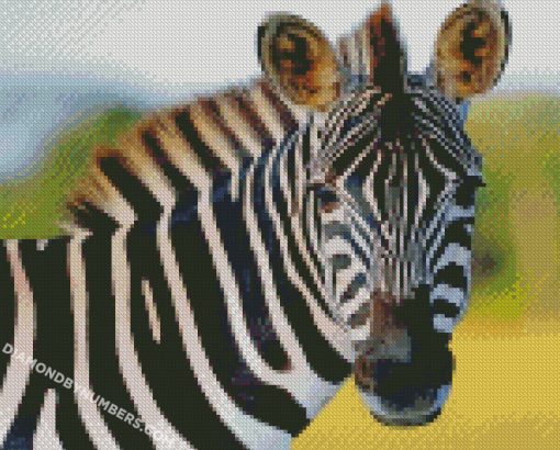 diamond painting