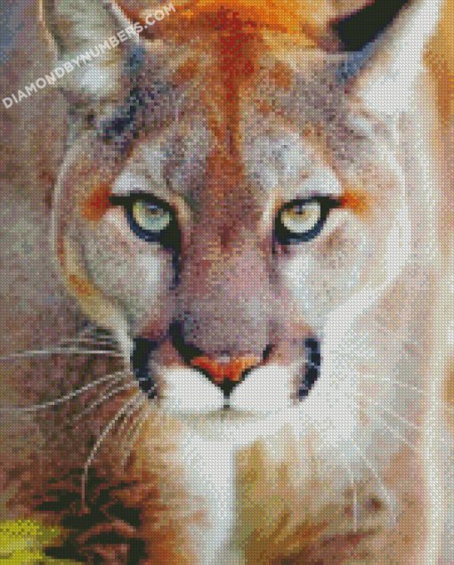 diamond painting