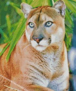 diamond painting