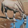 diamond painting