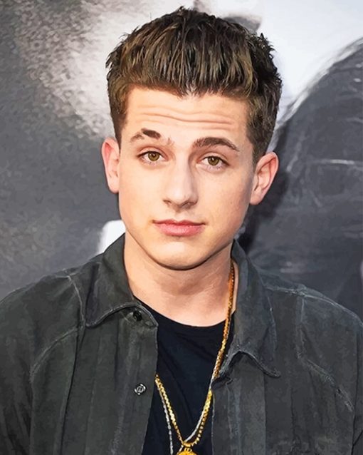 Handsome Charlie Puth paint by numbers