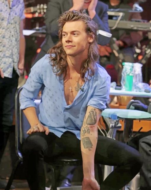 Harold With Long Hair Paint by numbers