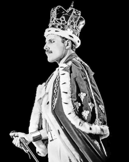 king freddie murcery paint by numbers