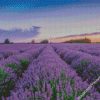 diamond painting