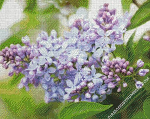 diamond painting