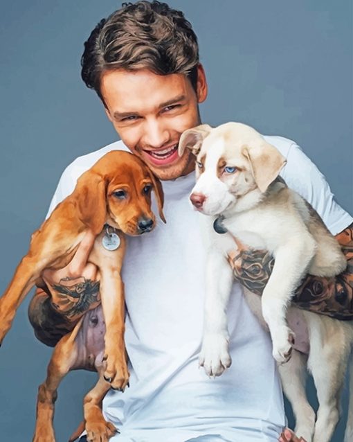 Liam Payne And Puppies paint by number