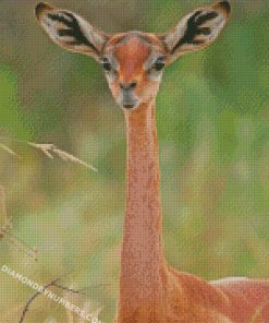 diamond painting