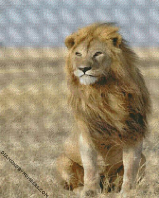 diamond painting