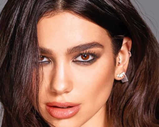 Singer Dua Lipa paint by numbers
