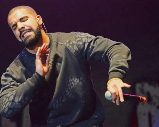 The Canadian Rapper Drake paint by numbers
