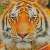 diamond painting