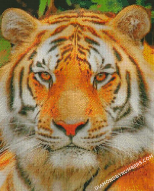 diamond painting