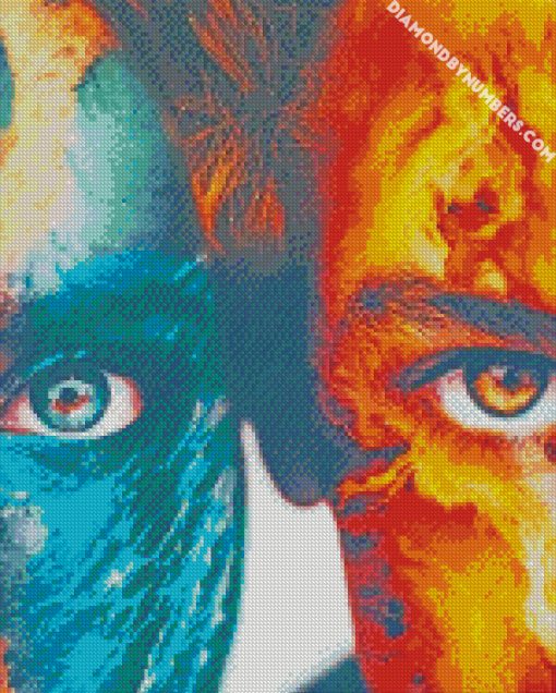 water and fire eyes diamond painting