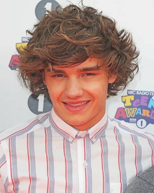 Cute Young Liam Payne Paint By Numbers