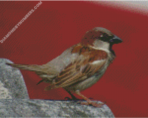 diamond painting