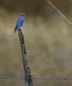 diamond painting