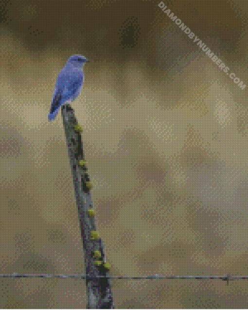 diamond painting