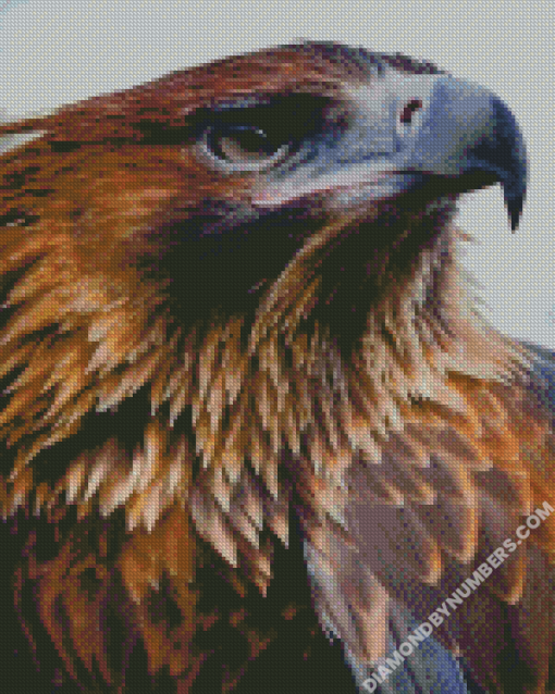 Diamond Painting