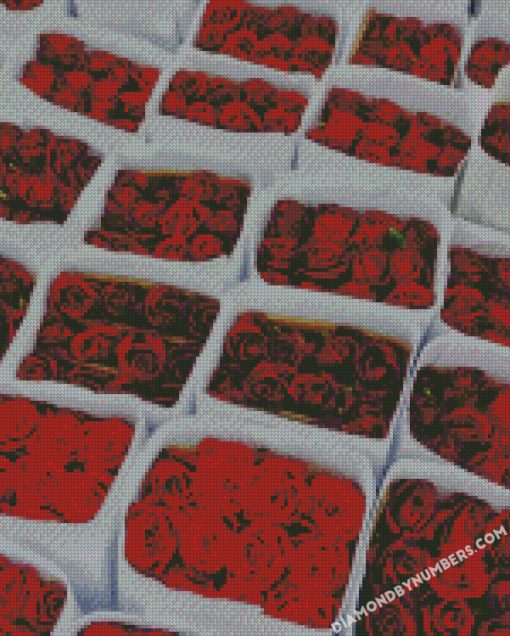 diamond painting