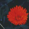 Orange Peatald Flower diamond paintings