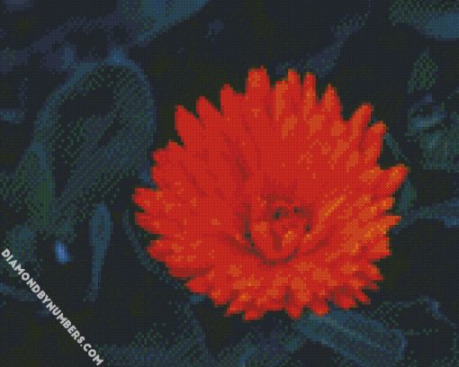 Orange Peatald Flower diamond paintings