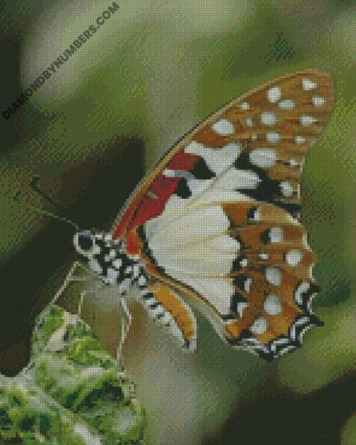diamond painting