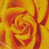 diamond painting