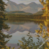 diamond painting