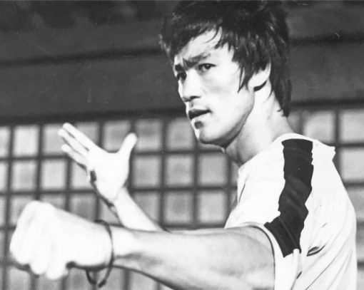Bruce Lee The Dragon paint by numbers
