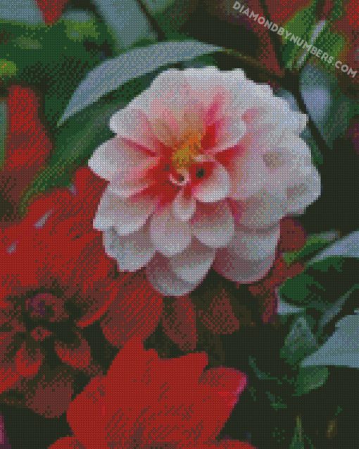 diamond paintings
