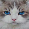 diamond painting