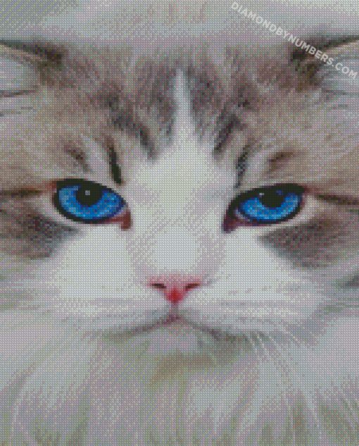 diamond painting