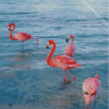 diamond painting