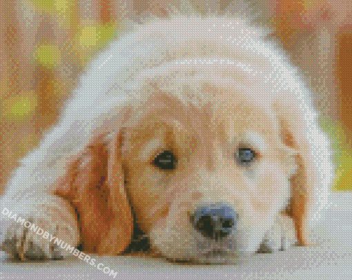 diamond painting