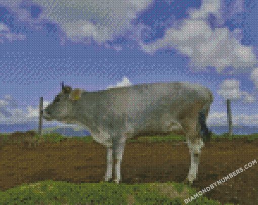 diamond painting