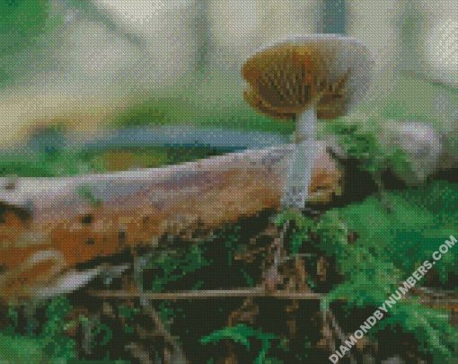 diamond painting