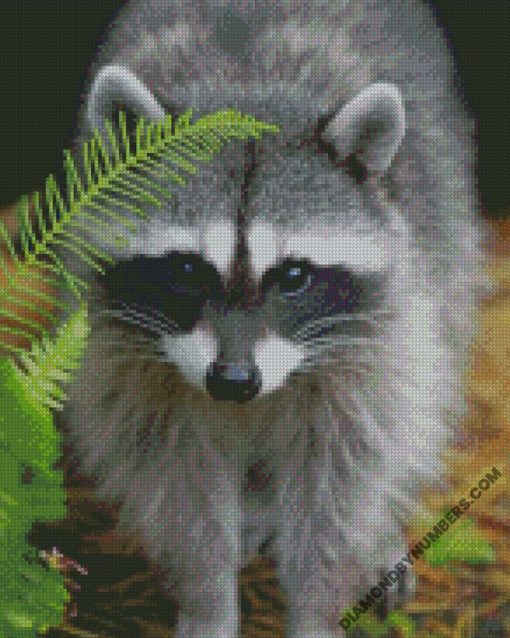diamond paintings